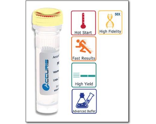 High Fidelity DNA Polymerase PCR Reagent