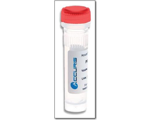 PCR Reagents, qMAX Probe, qPCR Mix