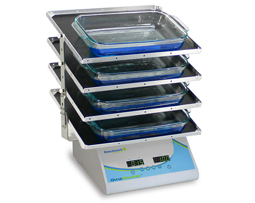 Benchmark QuadRocker Variable-speed Platform Rocker