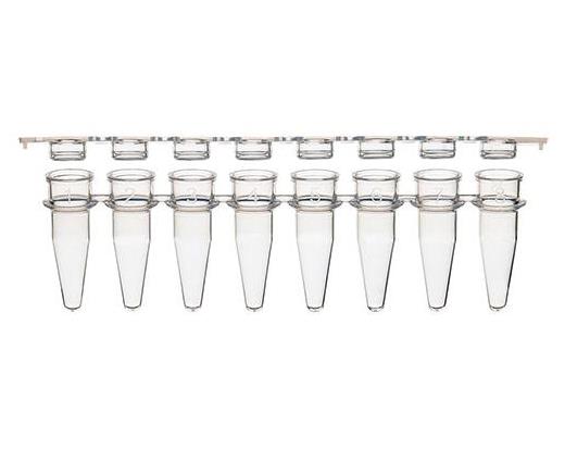 Diamond PCR Strip Tubes &amp; Caps
