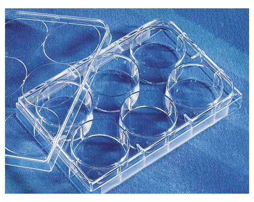 Corning 6-well, Flat Bottom, Clear, with Lid, Sterile
