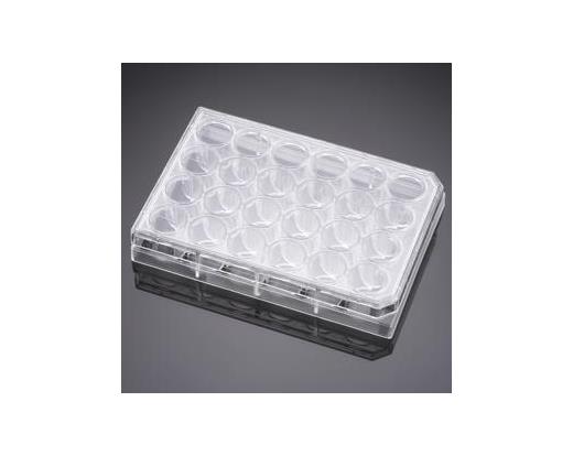 Falcon 24-well cell culture plates