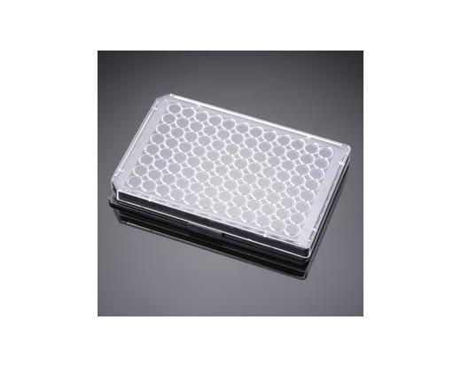 96-well tissue culture microplate