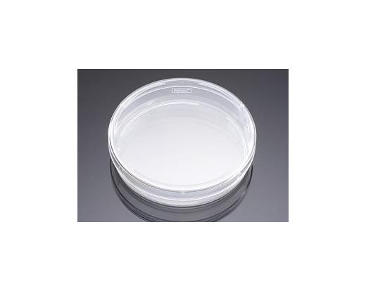 Falcon 100mm Cell Culture Dishes