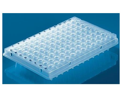 Clear PP PCR Plates