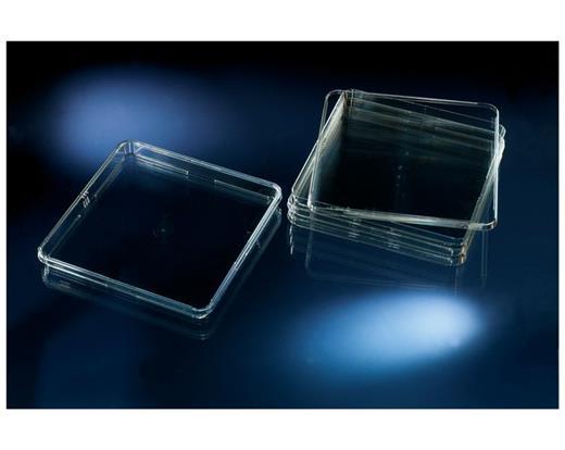 NUNC Bio-Assay Dish