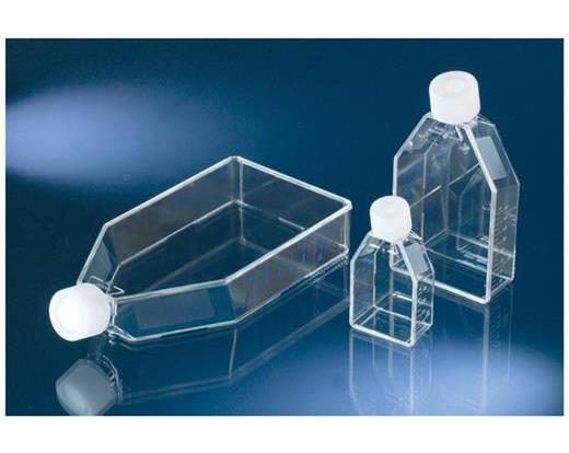 Cell Culture Flasks