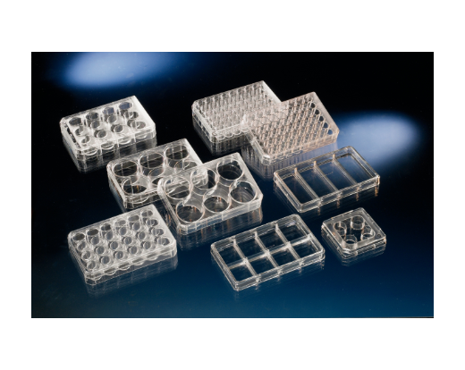 Non-treated Multidishes with lid
