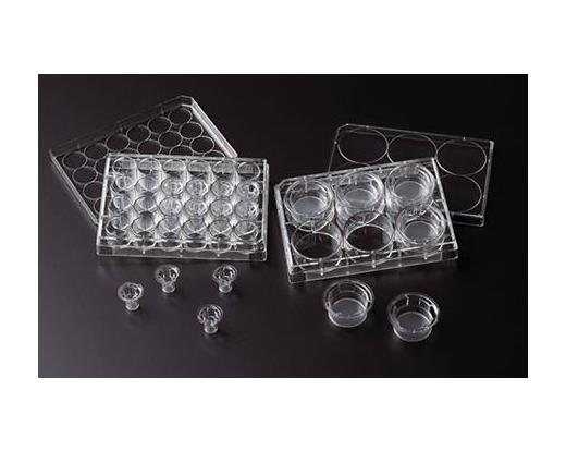 Permeable Cell Culture Well Plates