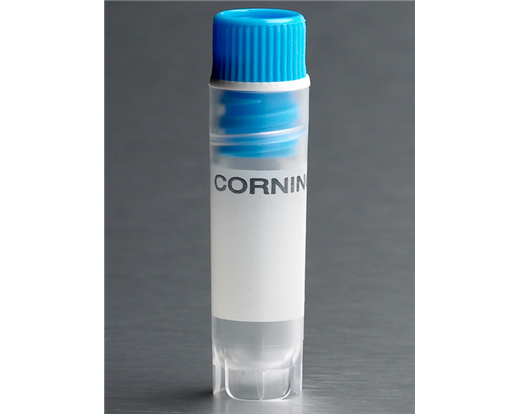431416- Corning 2mL Assorted Colors Internal Threaded Polypropylene Cryogenic Vial, Self-Standing With Round Bottom