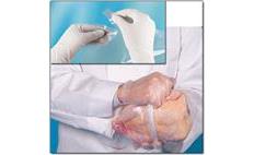 Poultry Rinse Sampling Bags