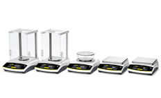 Legal Verification Entris II Balances