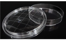 65mm RODAC Petri Dishes Sterile