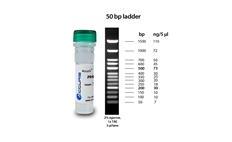50bp DNA ladder