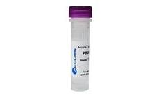 40mM dNTP ready-to-use Mix