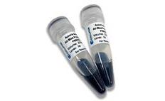250mL bottles of Blue Protein Markers
