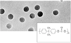 Polycarbonate Track-Etched Membrane Filters 0.2µm 47mm Discs