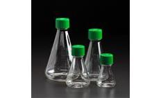 Erlenmeyer Flasks