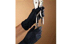 G330-231.gif