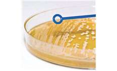 Inoculating Loop and cell dish