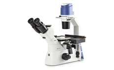 Oxion Inverso Inverted Microscopes