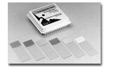Microscope Slides, Color Permafrost, in Environmen