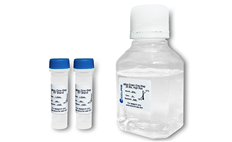 Accuris SYBR Green One-Step RT-qPCR Kit