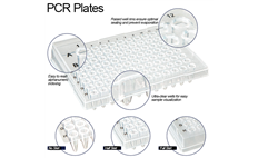 Globe PCR Plates diagram