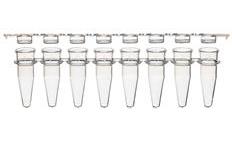 Diamond PCR Strip Tubes &amp; Caps