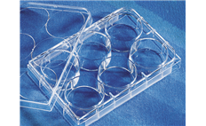 Corning 6-well, Flat Bottom, Clear, with Lid, Sterile