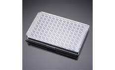 96-well tissue culture microplate