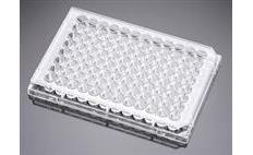 96-well Flat bottom Plates