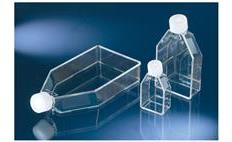 Cell Culture Flasks