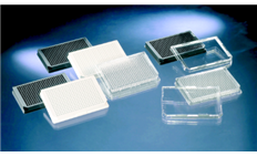 Cell Culture 384-well Plate