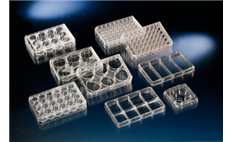 Non-treated Multidishes with lid