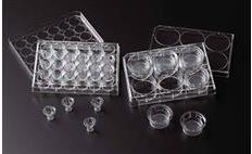 Permeable Cell Culture Well Plates