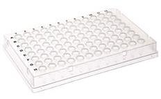 96-well Multi well Plate