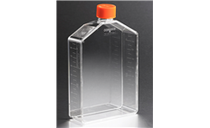 Corning CellBIND 225cm² Canted Neck Cell Culture Flask with Vent Cap