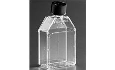 Corning 25cm² Rectangular Canted Neck Cell Culture Flask with Phenolic-Style Cap
