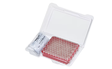 SureSTART Level 3 Screw Cap &amp; Vial Kit