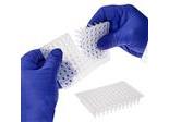 PCR Plates, 96-well, Pure•Amp™