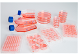 Nunclon™ Sphera™, Cell Culture Dishes, Flasks, and Microplates, Thermo Scientific™