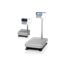 Balances, Bench Scale, HV-G Series, NTEP, A&amp;D Weighing