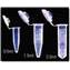 Centrifuge Tubes, G-Tube&#174; Flat-top Microcentrifuge Tubes, Siliconized