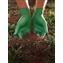 GREEN-DEX&amp;trade; Biodegradable Disposable Nitrile Glove, Powder-free