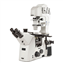 Microscopes, Inverted Microscope, Trinocular, Delphi-X Inverso