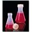 NALGENE&amp;reg; 4106 Erlenmeyer Flasks with Screw Closure, FEP, Tefzel ETFE closure