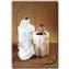 6501 Safety Bottle Carriers, low-density polyethylene; carbonate cap; epoxy-coated handle, NALGENE&amp;reg;